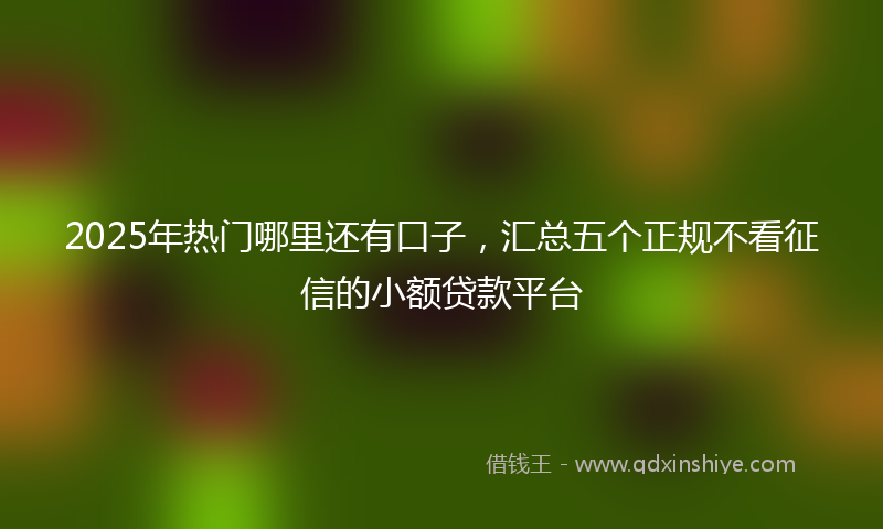 2025年热门哪里还有口子，汇总五个正规不看征信的小额贷款平台