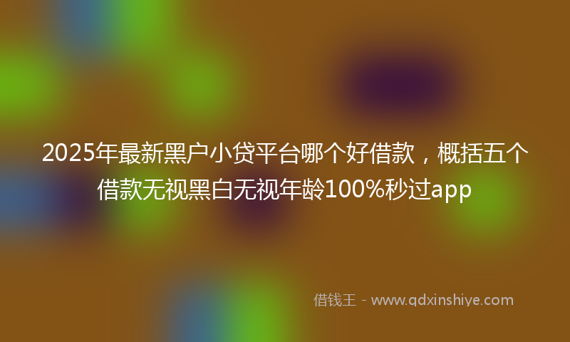 2025年最新黑户小贷平台哪个好借款，概括五个借款无视黑白无视年龄100%秒过app