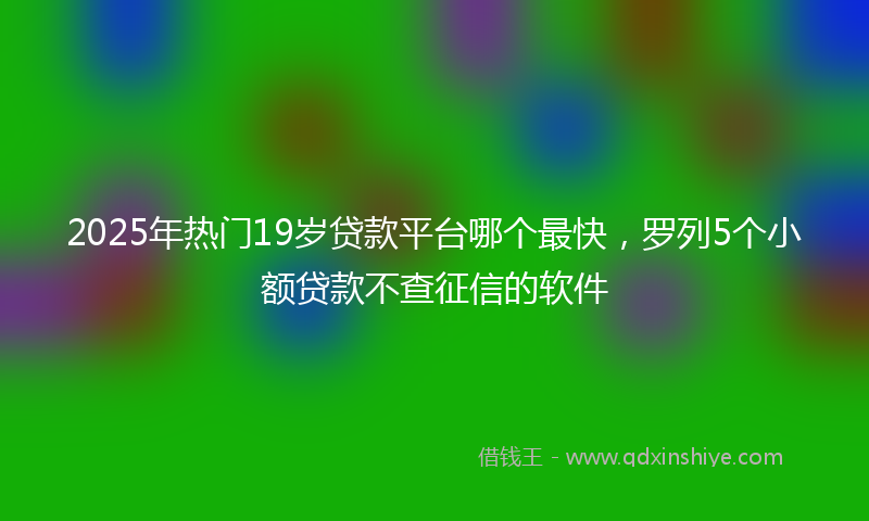2025年热门19岁贷款平台哪个最快，罗列5个小额贷款不查征信的软件