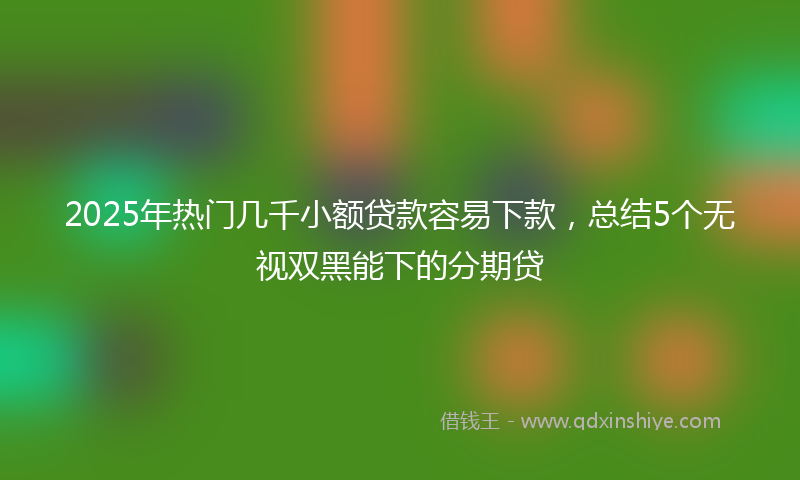 2025年热门几千小额贷款容易下款，总结5个无视双黑能下的分期贷