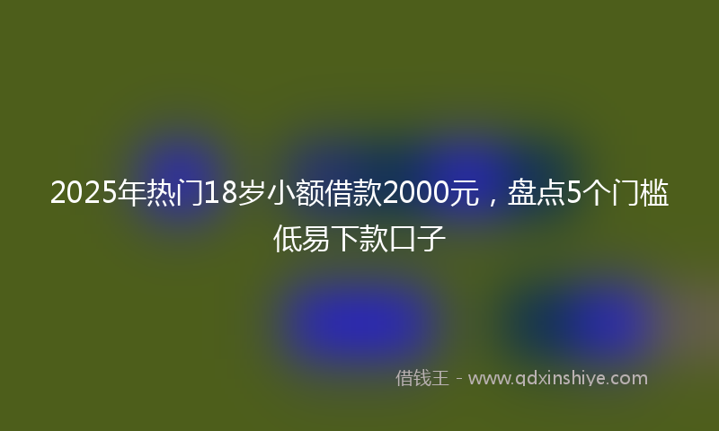 2025年热门18岁小额借款2000元，盘点5个门槛低易下款口子