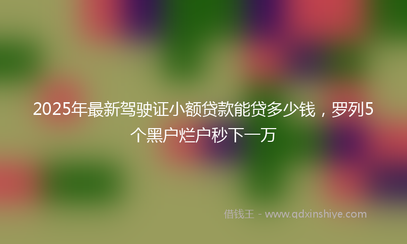 2025年最新驾驶证小额贷款能贷多少钱，罗列5个黑户烂户秒下一万