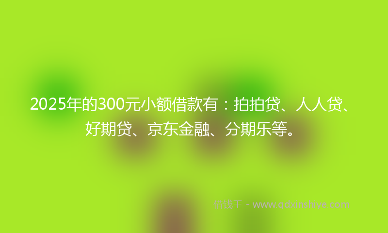 2025年的300元小额借款有：拍拍贷、人人贷、好期贷、京东金融、分期乐等。