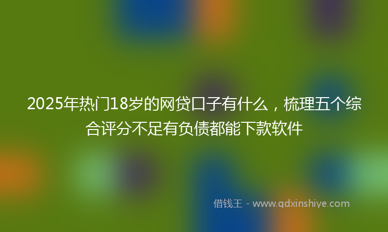 2025年热门18岁的网贷口子有什么，梳理五个综合评分不足有负债都能下款软件