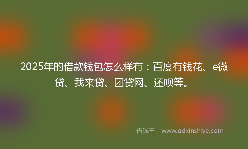 2025年的借款钱包怎么样有：百度有钱花、e微贷、我来贷、团贷网、还呗等。