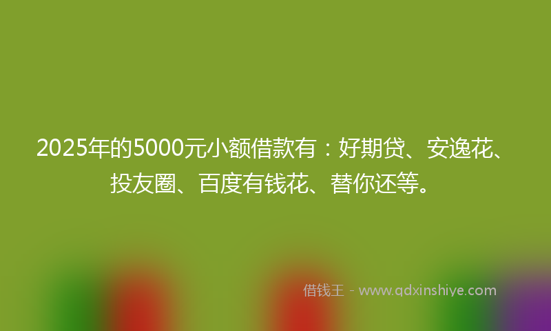 2025年的5000元小额借款有：好期贷、安逸花、投友圈、百度有钱花、替你还等。