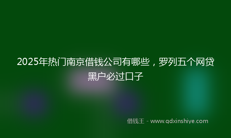 2025年热门南京借钱公司有哪些，罗列五个网贷黑户必过口子