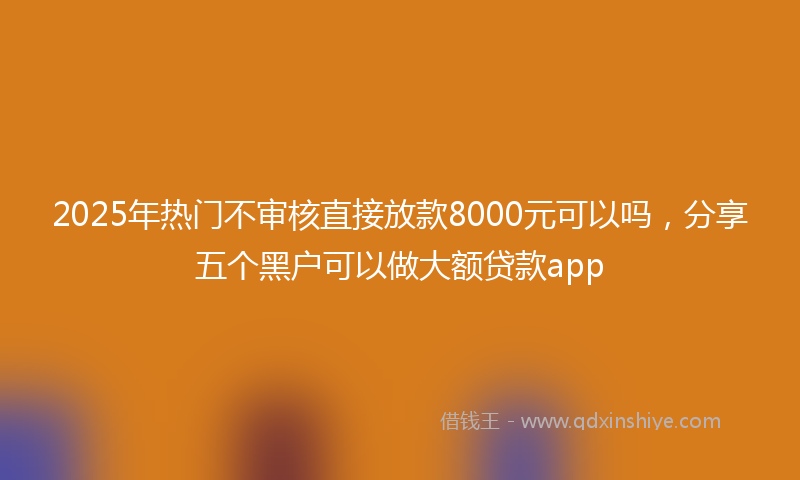2025年热门不审核直接放款8000元可以吗，分享五个黑户可以做大额贷款app