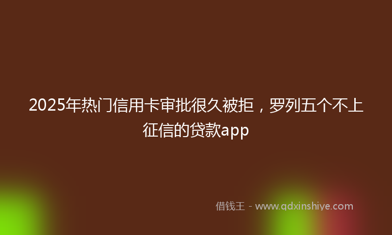 2025年热门信用卡审批很久被拒，罗列五个不上征信的贷款app