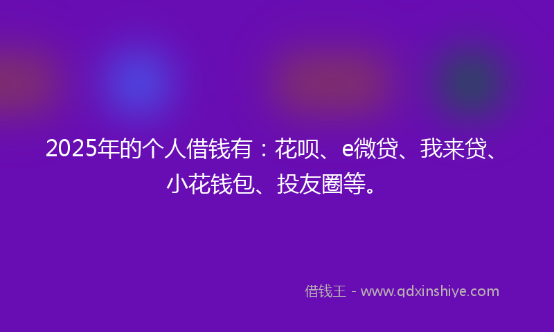 2025年的个人借钱有：花呗、e微贷、我来贷、小花钱包、投友圈等。