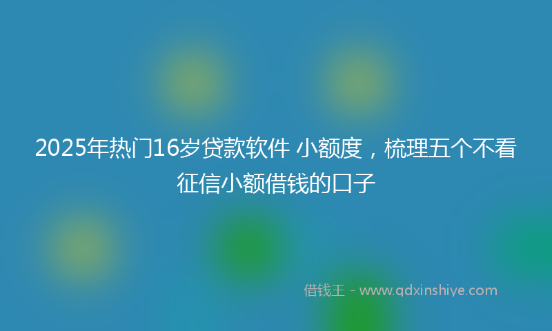 2025年热门16岁贷款软件 小额度，梳理五个不看征信小额借钱的口子