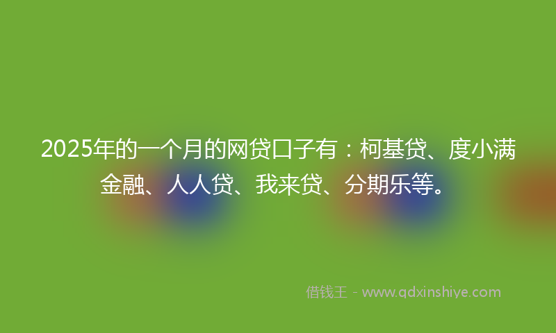2025年的一个月的网贷口子有：柯基贷、度小满金融、人人贷、我来贷、分期乐等。