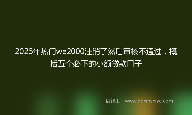 2025年热门we2000注销了然后审核不通过，概括五个必下的小额贷款口子