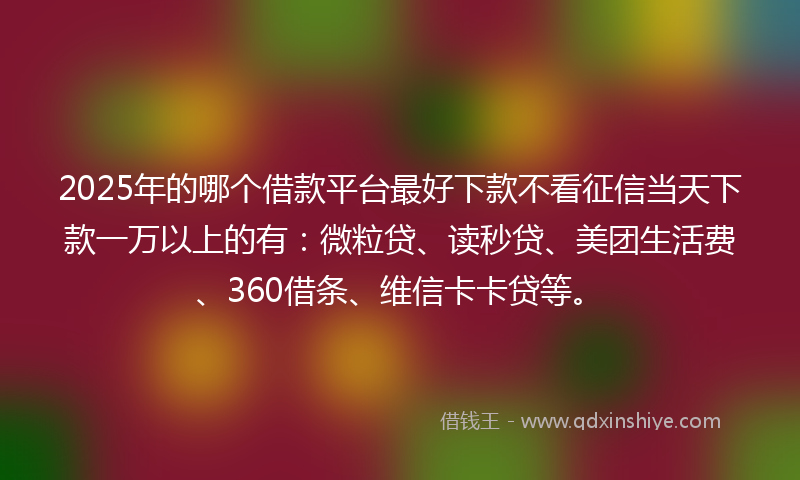 2025年的哪个借款平台最好下款不看征信当天下款一万以上的有：微粒贷、读秒贷、美团生活费、360借条、维信卡卡贷等。
