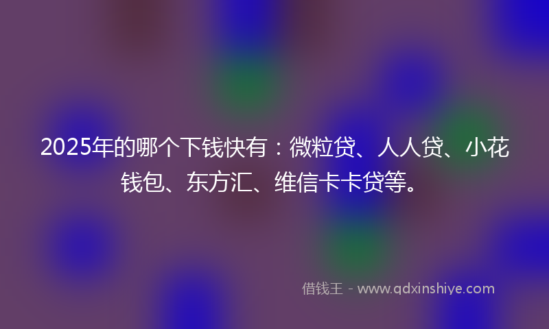 2025年的哪个下钱快有：微粒贷、人人贷、小花钱包、东方汇、维信卡卡贷等。