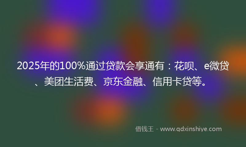 2025年的100%通过贷款会享通有：花呗、e微贷、美团生活费、京东金融、信用卡贷等。