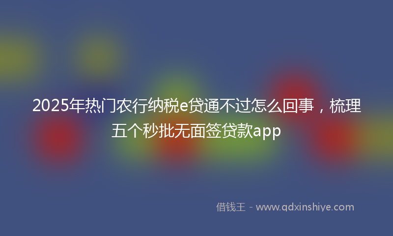 2025年热门农行纳税e贷通不过怎么回事，梳理五个秒批无面签贷款app