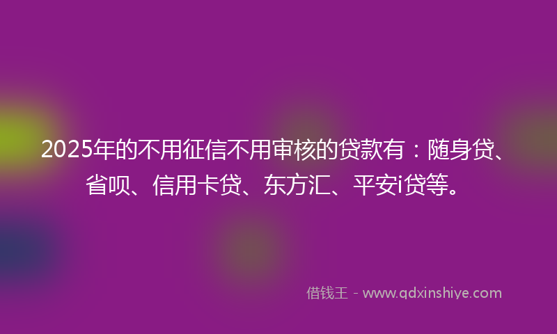 2025年的不用征信不用审核的贷款有：随身贷、省呗、信用卡贷、东方汇、平安i贷等。