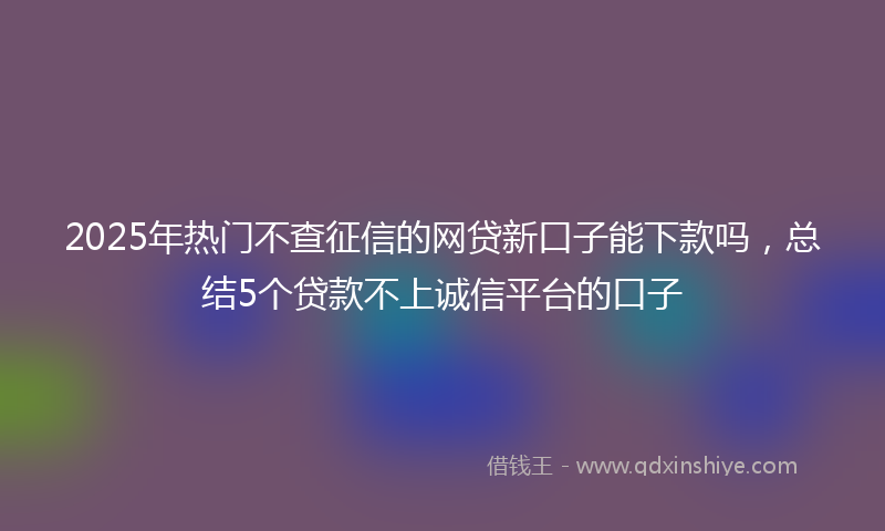 2025年热门不查征信的网贷新口子能下款吗，总结5个贷款不上诚信平台的口子