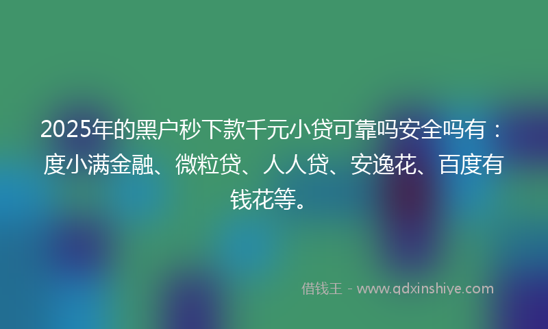 2025年的黑户秒下款千元小贷可靠吗安全吗有：度小满金融、微粒贷、人人贷、安逸花、百度有钱花等。