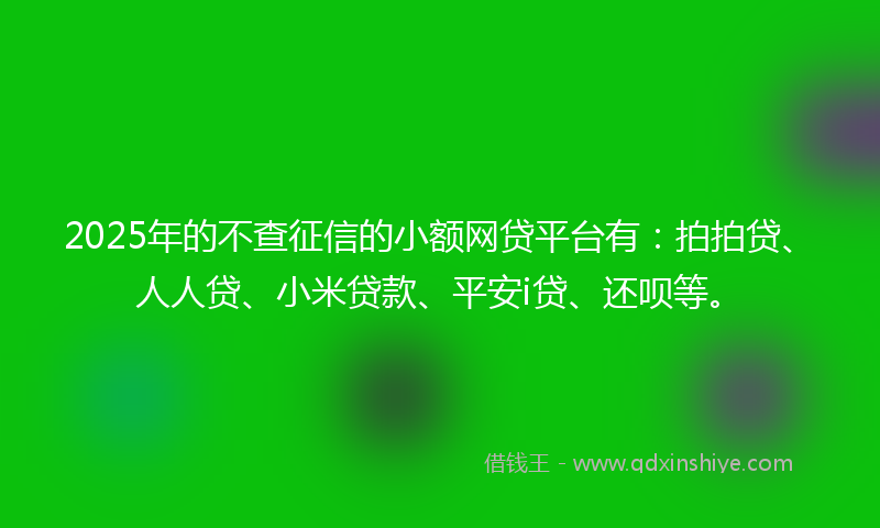 2025年的不查征信的小额网贷平台有：拍拍贷、人人贷、小米贷款、平安i贷、还呗等。