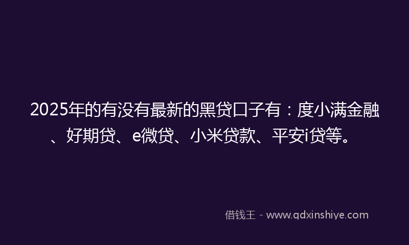 2025年的有没有最新的黑贷口子有：度小满金融、好期贷、e微贷、小米贷款、平安i贷等。