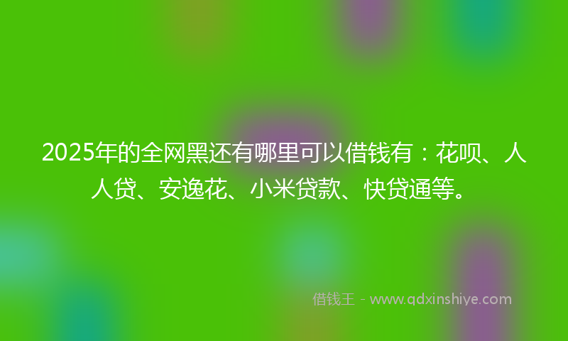 2025年的全网黑还有哪里可以借钱有：花呗、人人贷、安逸花、小米贷款、快贷通等。