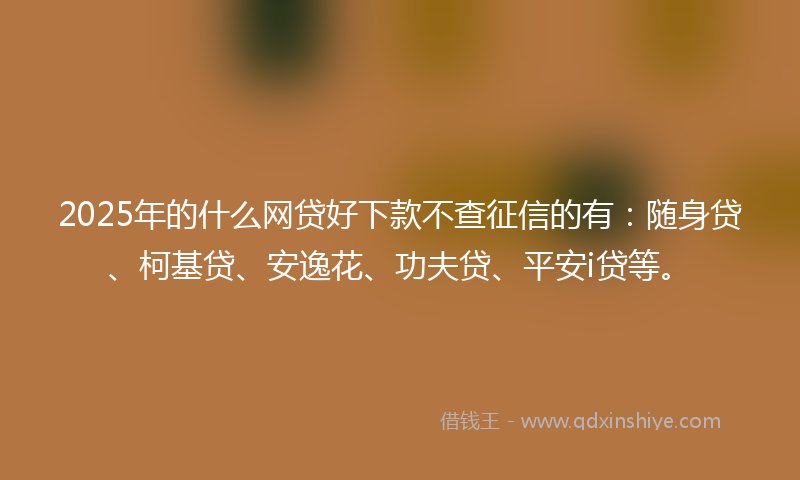 2025年的什么网贷好下款不查征信的有：随身贷、柯基贷、安逸花、功夫贷、平安i贷等。