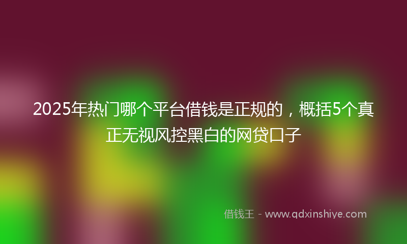 2025年热门哪个平台借钱是正规的，概括5个真正无视风控黑白的网贷口子