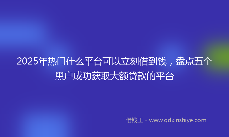 2025年热门什么平台可以立刻借到钱，盘点五个黑户成功获取大额贷款的平台