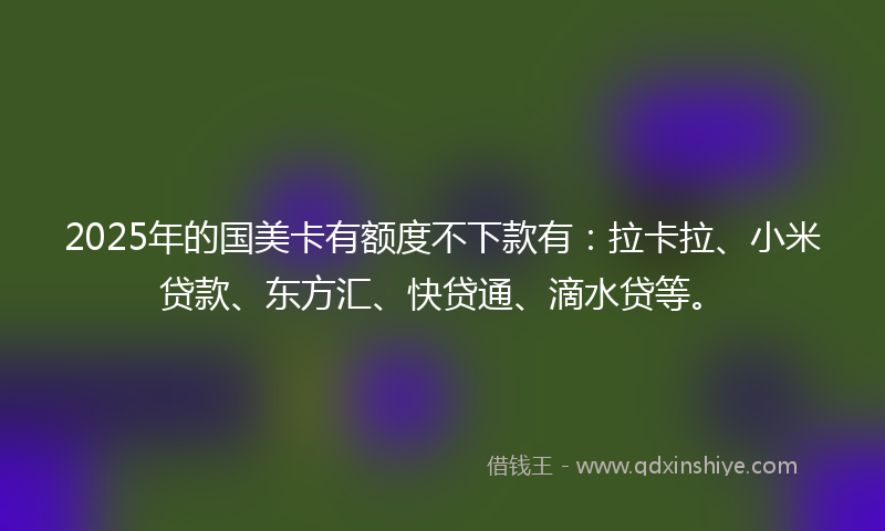 2025年的国美卡有额度不下款有：拉卡拉、小米贷款、东方汇、快贷通、滴水贷等。