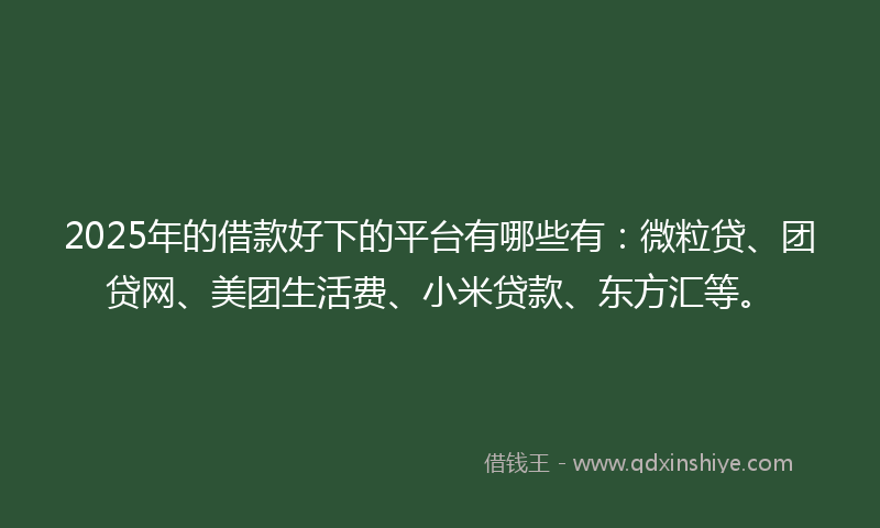 2025年的借款好下的平台有哪些有：微粒贷、团贷网、美团生活费、小米贷款、东方汇等。
