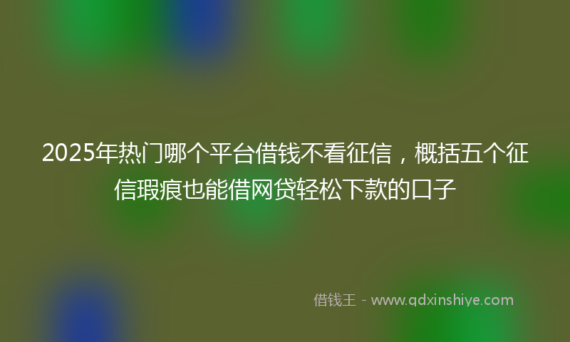 2025年热门哪个平台借钱不看征信，概括五个征信瑕疵也能借网贷轻松下款的口子