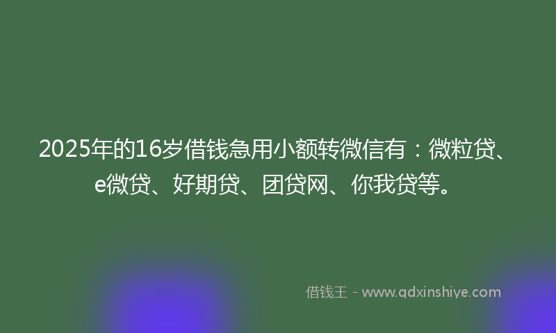2025年的16岁借钱急用小额转微信有：微粒贷、e微贷、好期贷、团贷网、你我贷等。