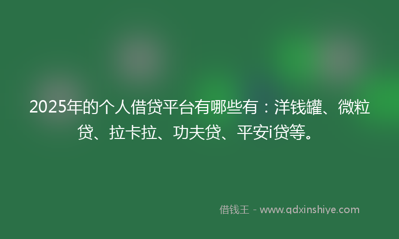 2025年的个人借贷平台有哪些有：洋钱罐、微粒贷、拉卡拉、功夫贷、平安i贷等。