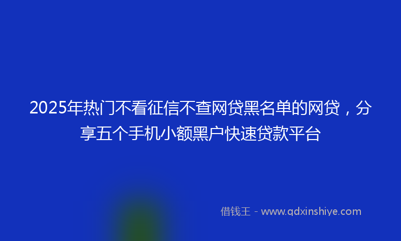 2025年热门不看征信不查网贷黑名单的网贷，分享五个手机小额黑户快速贷款平台