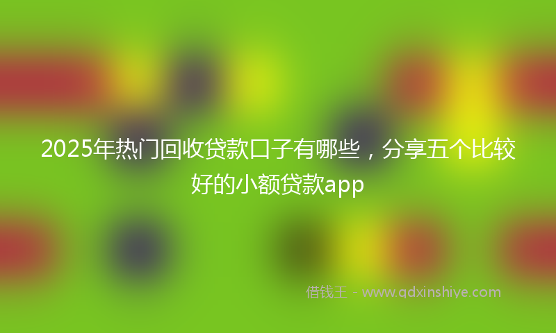 2025年热门回收贷款口子有哪些，分享五个比较好的小额贷款app