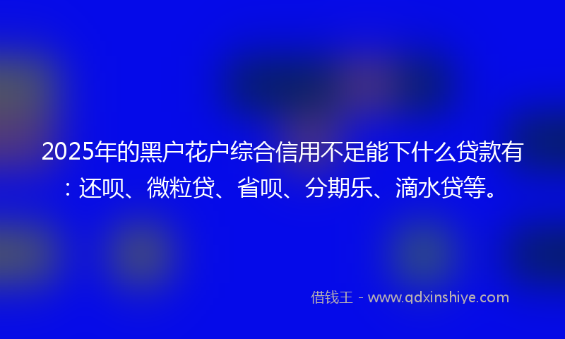 2025年的黑户花户综合信用不足能下什么贷款有：还呗、微粒贷、省呗、分期乐、滴水贷等。
