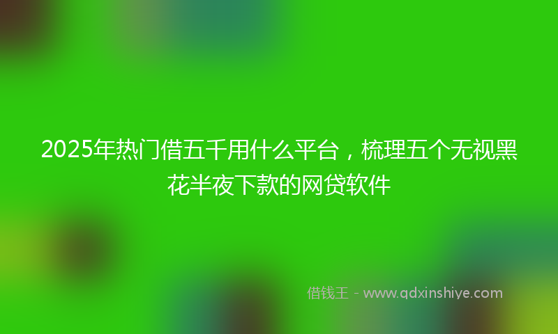 2025年热门借五千用什么平台，梳理五个无视黑花半夜下款的网贷软件