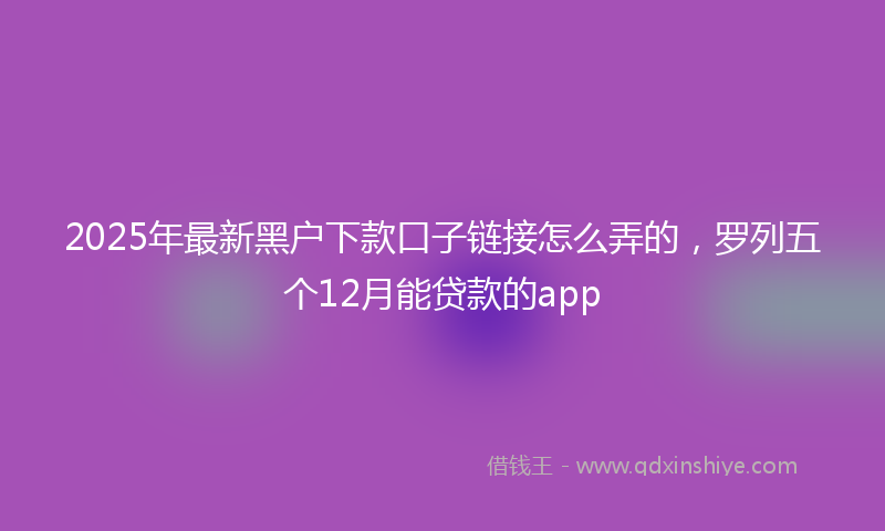 2025年最新黑户下款口子链接怎么弄的，罗列五个12月能贷款的app