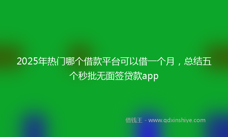 2025年热门哪个借款平台可以借一个月，总结五个秒批无面签贷款app