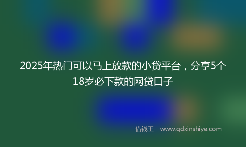 2025年热门可以马上放款的小贷平台，分享5个18岁必下款的网贷口子