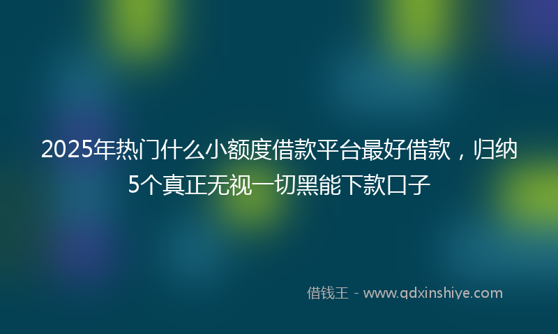 2025年热门什么小额度借款平台最好借款，归纳5个真正无视一切黑能下款口子