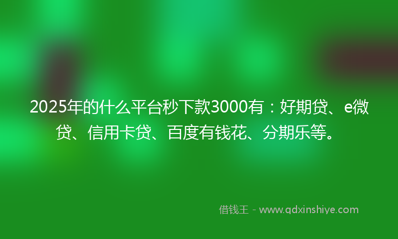 2025年的什么平台秒下款3000有：好期贷、e微贷、信用卡贷、百度有钱花、分期乐等。