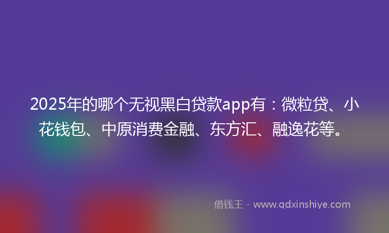2025年的哪个无视黑白贷款app有：微粒贷、小花钱包、中原消费金融、东方汇、融逸花等。