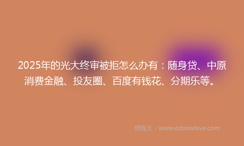 2025年的光大终审被拒怎么办有：随身贷、中原消费金融、投友圈、百度有钱花、分期乐等。