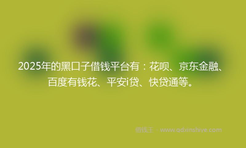 2025年的黑口子借钱平台有：花呗、京东金融、百度有钱花、平安i贷、快贷通等。