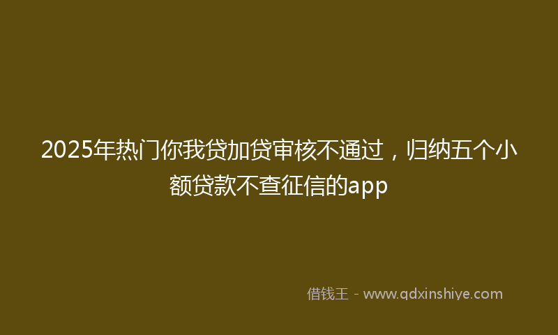 2025年热门你我贷加贷审核不通过，归纳五个小额贷款不查征信的app