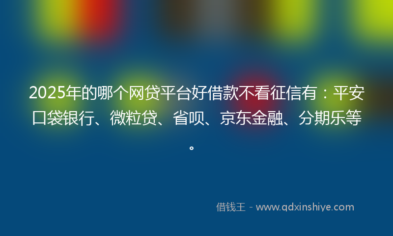 2025年的哪个网贷平台好借款不看征信有：平安口袋银行、微粒贷、省呗、京东金融、分期乐等。