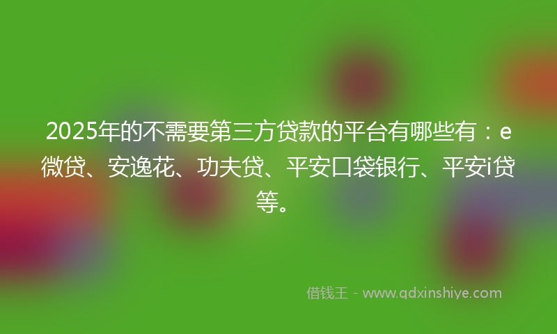 2025年的不需要第三方贷款的平台有哪些有：e微贷、安逸花、功夫贷、平安口袋银行、平安i贷等。